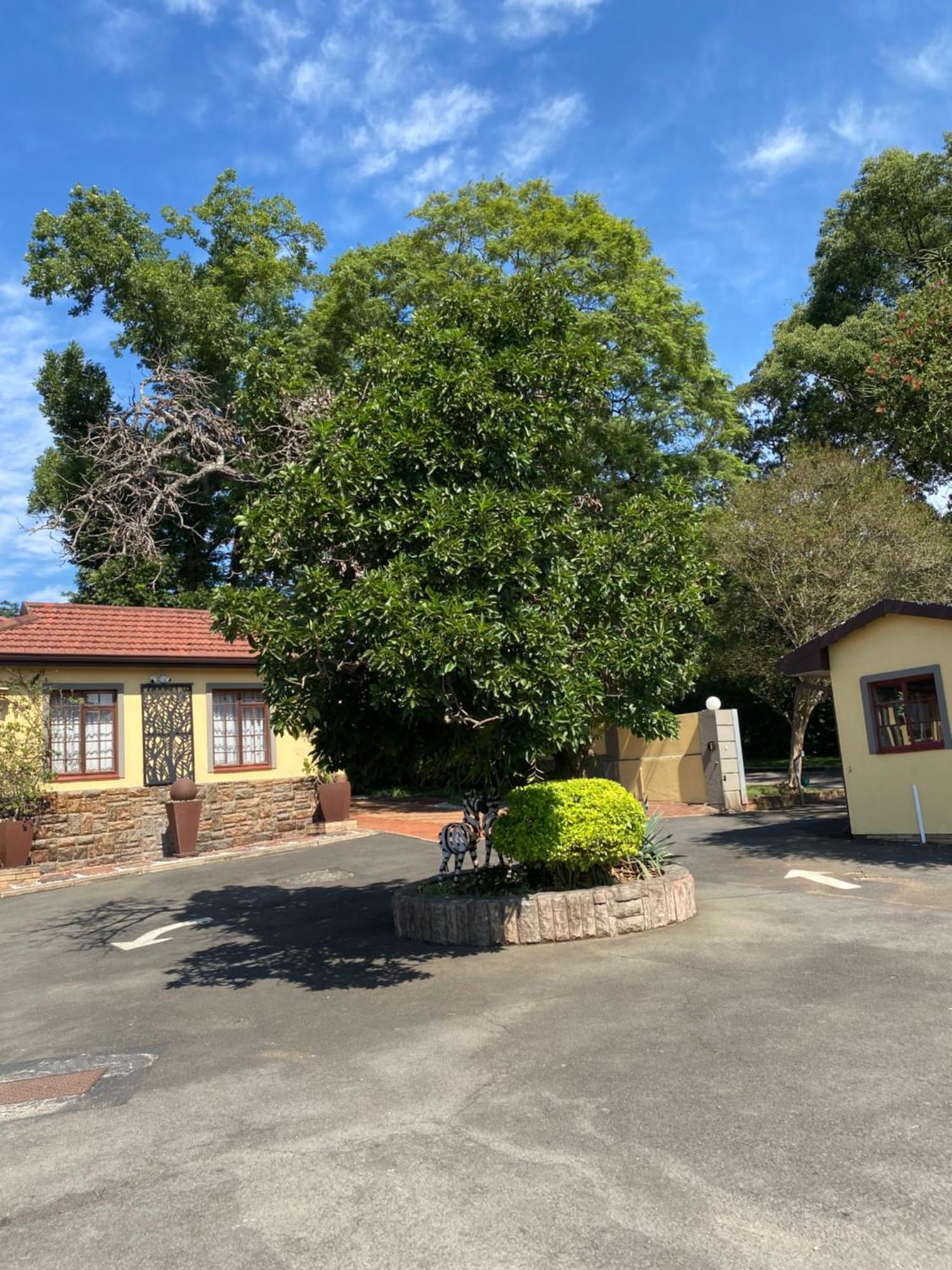 Madlula'S Guesthouse Pietermaritzburg Exterior photo