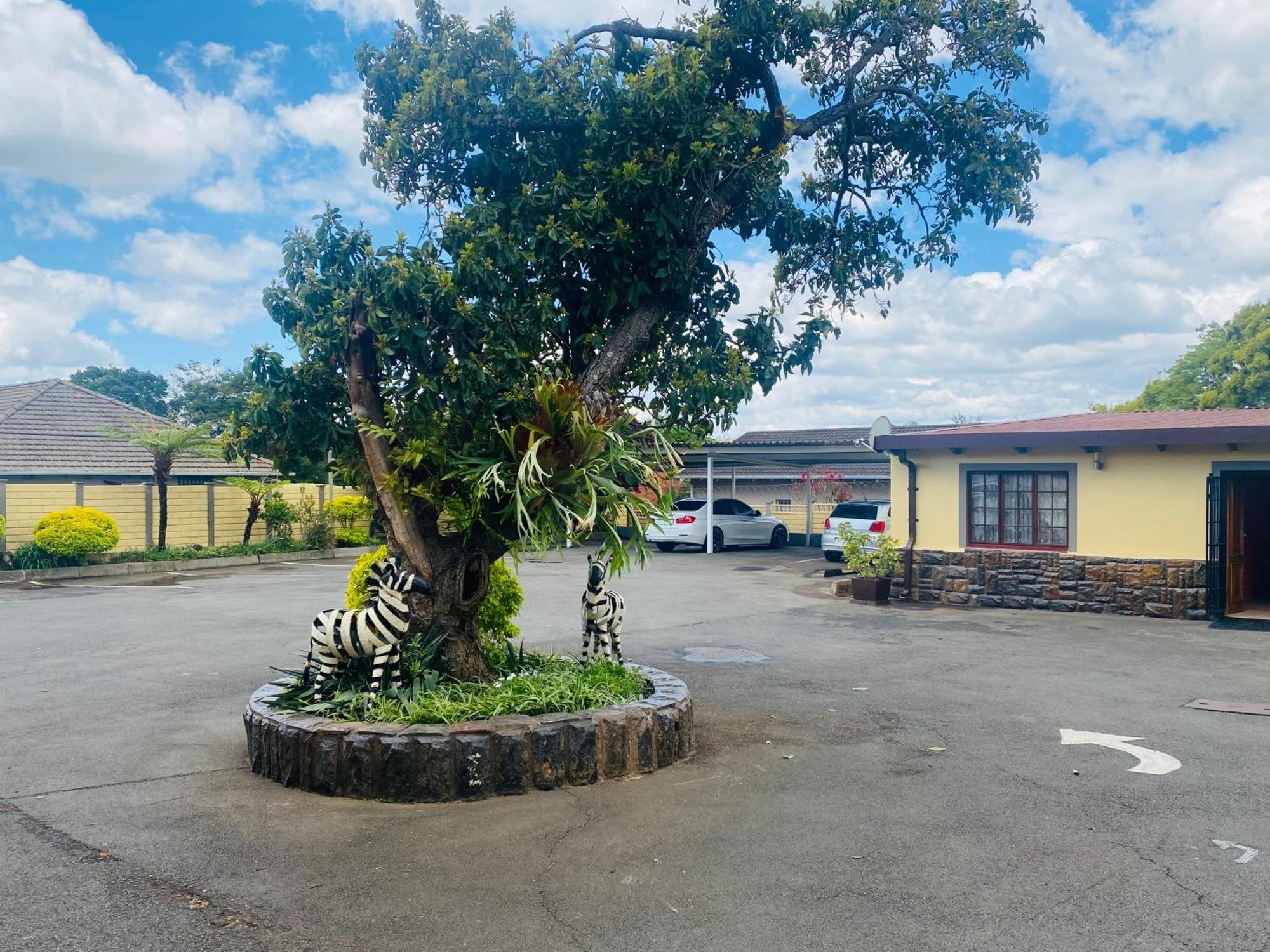 Madlula'S Guesthouse Pietermaritzburg Exterior photo
